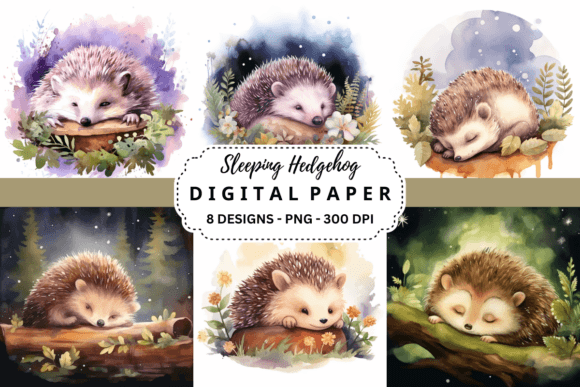 Sleeping Hedgehog Backgrounds: Cozy Visual Assets for Creative Projects
